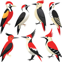 Vector dove, sparrown, woodspecker and parakeet bird icon set design 
