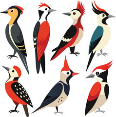 Vector dove, sparrown, woodspecker and parakeet bird icon set design 