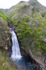 仙台の秋保大滝