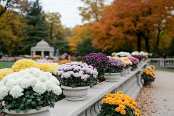 Colorful blooming flowers in pots create a lively atmosphere in a landscaped garden during autumn