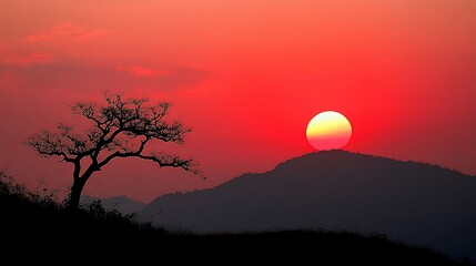Obraz premium Silhouette sunset over mountains with lone tree
