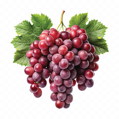 abstract 3d fresh  bunch grapes in different style isolated on white background