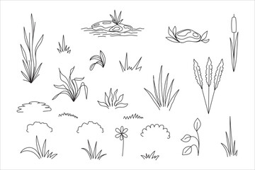 Set of different elements grass plant. Floral sketch. Line art. Botanical hand drawn vector illustration.