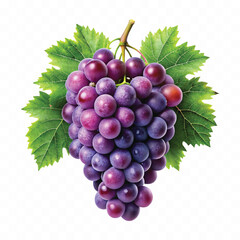 Obraz premium abstract 3d fresh bunch grapes in different style isolated on white background