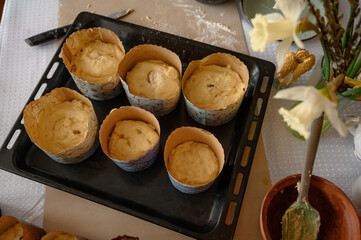 group of uncooked unbaked panettone sweet milanese italian chrstmas cake. Homemade Easter bread.Happy Easter	