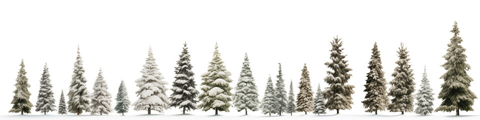 A row of christmas trees covered in snow against a transparent background in a winter landscape scene png