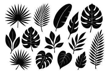 Icon set of various tropical leaves in a modern design style suitable for creative projects and visual needs