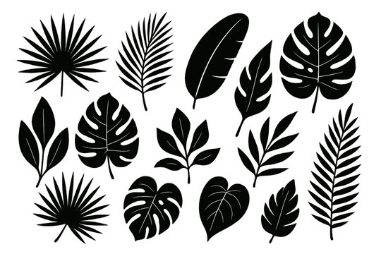 Icon set of various tropical leaves in a modern design style suitable for creative projects and visual needs