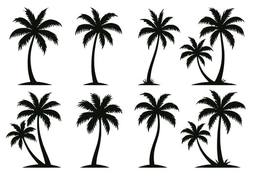 Icon set featuring various palm tree silhouettes for design and decoration purposes