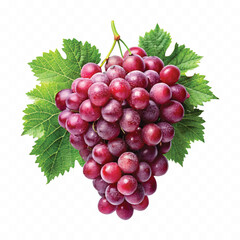 abstract 3d fresh  bunch grapes in different style isolated on white background