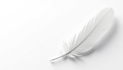 Obraz premium Crisp white feathers against a stark white background, feather, texture, abstractphotography