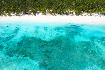 Aerial view on tropical island with palm trees and caribbean sea. Saona Island.