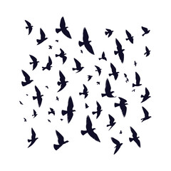 set of silhouettes of birds