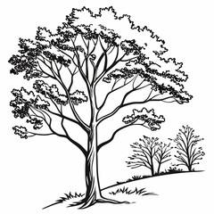 Obraz premium Tree SIhouette 