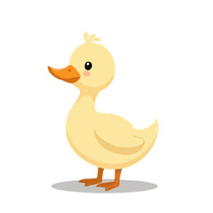 Cute Little Duck Illustration