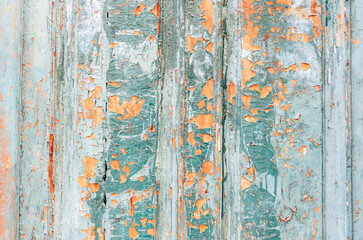 Close-up of old wooden surface with cracked peeling turquoise and orange paint. Texture, background
