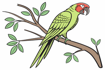 parrot on a branch