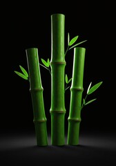 Fototapeta premium Tranquil Green Bamboo Stalks with Delicate Leaves against a Dark Backdrop