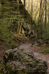 Ojcow National Park in Poland, near Krakow, rocks, active recreation, hiking in Polish mountains, family vacation, rocks, hiking routes in the mountains
