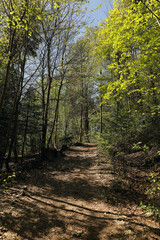 Ojcow National Park in Poland, near Krakow, rocks, active recreation, hiking in Polish mountains, family vacation, rocks, hiking routes in the mountains
