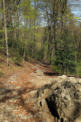 Ojcow National Park in Poland, near Krakow, rocks, active recreation, hiking in Polish mountains, family vacation, rocks, hiking routes in the mountains
