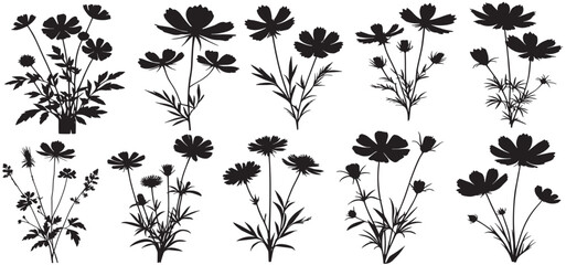 Decorative flower and leaves silhouettes Vector illustration, silhouette flower