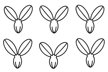 Bladder Medical Illustration Line Art