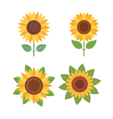 Minimalist Cartoon Sunflower Design Vector Bundle Set