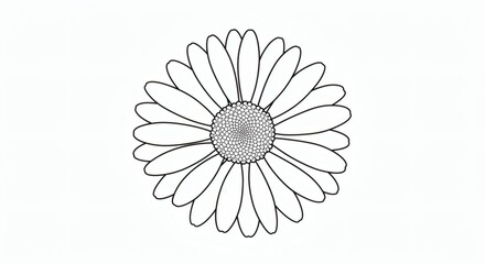 Fototapeta premium Flower outline isolated on white background