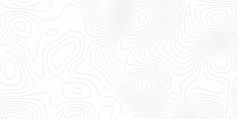 White topography topology vector white background fresh contour map texture. white seamless pattern Abstract background with a wave Topography and geography map grid abstract backdrop.	