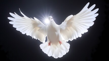 Fototapeta premium White dove in flight, dark background, sunburst. Peace, hope, spirituality concept