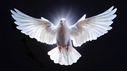 White dove in flight, radiant light, dark background, peace symbol, spiritual imagery