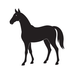 Warmblood Horse Black Silhouette Illustration