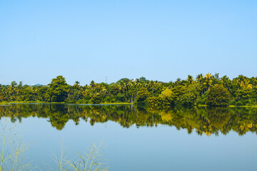 Fototapeta premium Blue Lake Surrounded by Lush Green Trees and Vines. Tranquil Forest Lake with Crystal Blue Water and Natural Foliage. Beautiful Blue Water Lake in the Heart of a Green Forest. Asian Lake Landscape