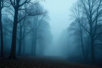 Thick fog blankets towering trees, creating an eerie scene , dense, autumn, chill