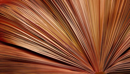 Exploring the pages of knowledge an open book from above literary focus cozy environment warm lighting close-up perspective
