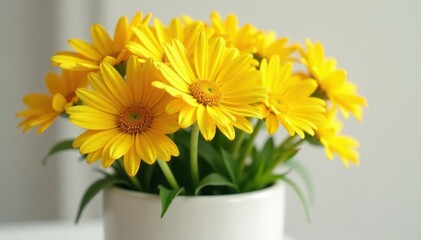 Vibrant yellow daisies in a pristine white pot  , sun,  daisies
