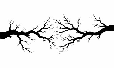 Symmetrical bare branches silhouette on white background