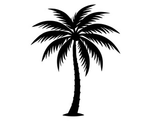 palm tree silhouette vector