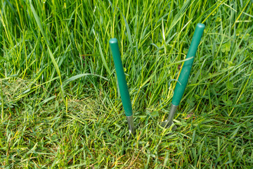 Two green-handled shovels are stuck into the ground against the background of tall grass. Shovels...