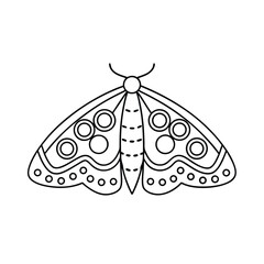 Decorative moth insect black and white outline vector illustration for coloring books and design projects