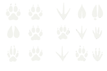 Collection of various animal tracks represented in a clean icon set for educational and design purposes
