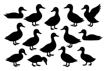 Icon set featuring various silhouettes of ducks for creative design projects and illustrations