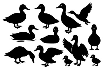 Diverse collection of duck icons showcasing various poses and activities for design projects
