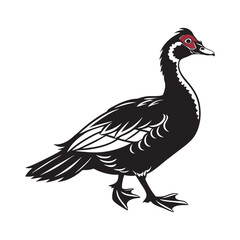 Muscovy Duck Standing Black Silhouette Design