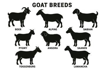 Diverse goat breeds featuring silhouettes and names in an informative icon set for animal enthusiasts