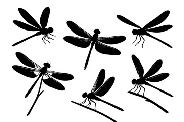 Collection of dragonfly icons showcasing various poses and angles for graphic design use