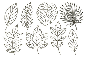 Elegant line art icon set featuring various leaf designs in different shapes and sizes for creative projects