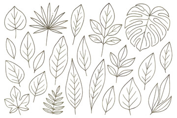 Assorted line art leaf icons showcasing botanical elements for design projects and illustrations