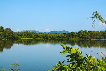 Blue Lake Surrounded by Lush Green Trees and Vines. Tranquil Forest Lake with Crystal Blue Water and Natural Foliage. Beautiful Blue Water Lake in the Heart of a Green Forest. Asian Lake Landscape